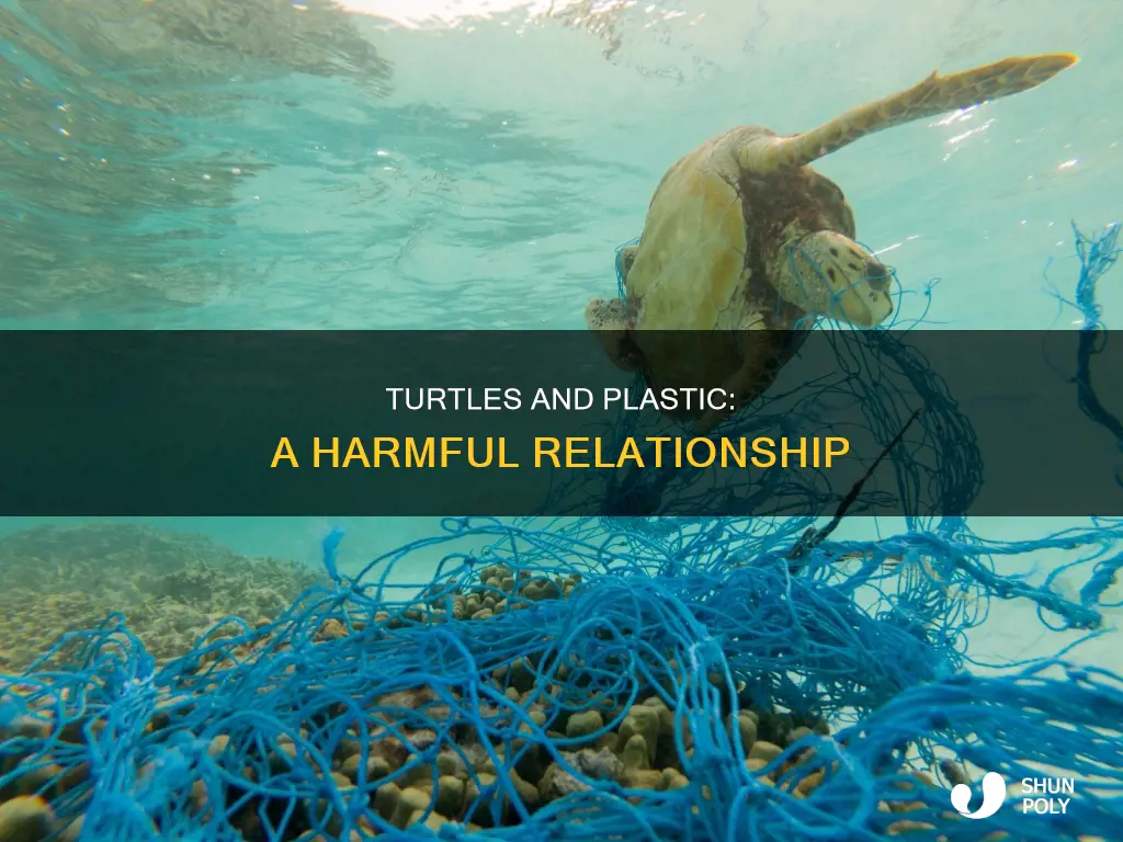 how turtles are affected by plastic