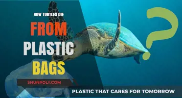 Plastic Peril: How Turtles Suffer and Die from Ingesting Bags