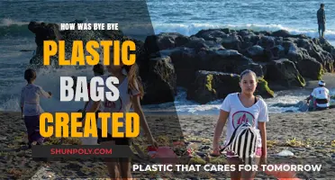 The Inspiring Journey Behind Bye Bye Plastic Bags' Creation