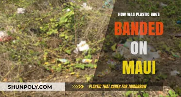 Maui's Plastic Bag Ban: A Journey to Sustainability and Environmental Protection
