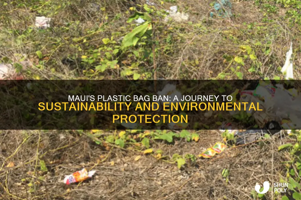 how was plastic bags banded on maui