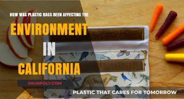 Plastic Bags' Environmental Impact on California's Ecosystems and Wildlife