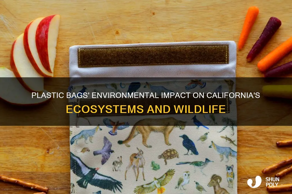 how was plastic bags been affecting the environment in california
