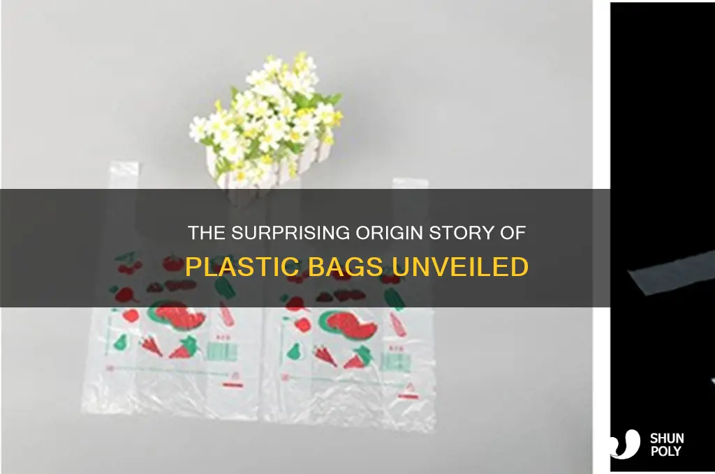 how was plastic bags discovered