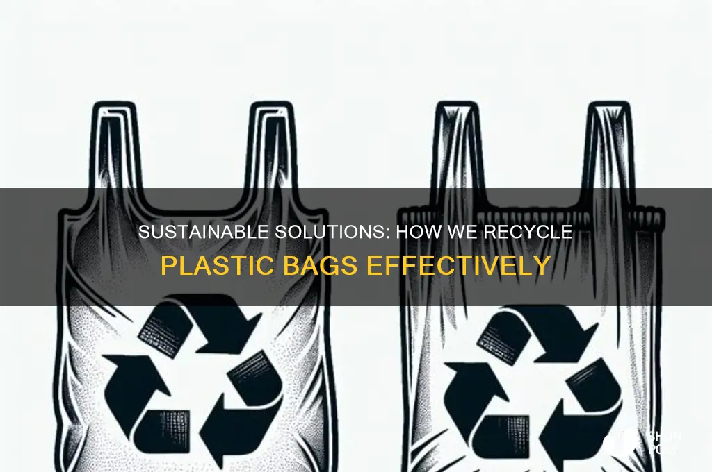 how we recycle plastic bags
