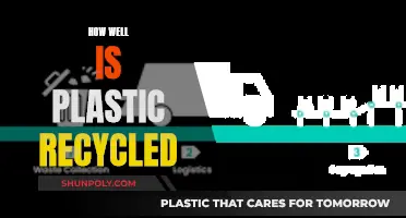 Plastic Recycling: Effective or Not?