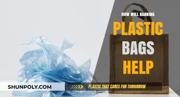 Banning Plastic Bags: Environmental Benefits and Sustainable Alternatives Explained