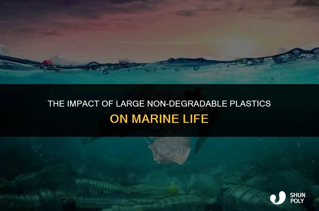 how will large plastics non-degradable debris marine life