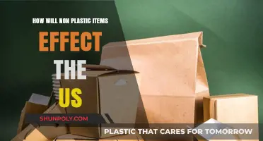 Sustainable Alternatives: The Impact of Non-Plastic Items on the US Economy