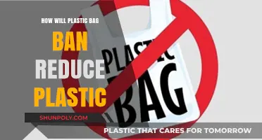 Plastic Bag Ban: A Key Step to Slash Plastic Pollution