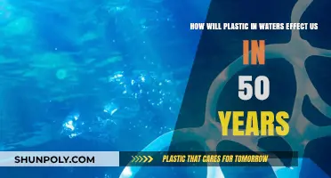 The Looming Legacy: Plastic Pollution's Impact on Our Future Oceans