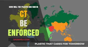 CT's Plastic Bag Ban: Enforcement Strategies and Compliance Measures Explained