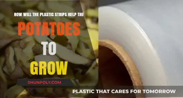 Boosting Potato Growth: The Surprising Benefits of Plastic Strips
