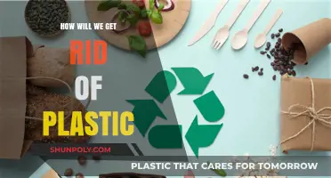 Breaking Free from Plastic: Sustainable Solutions for a Greener Future