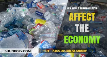 Plastic Ban: Economic Impact and Environmental Benefits