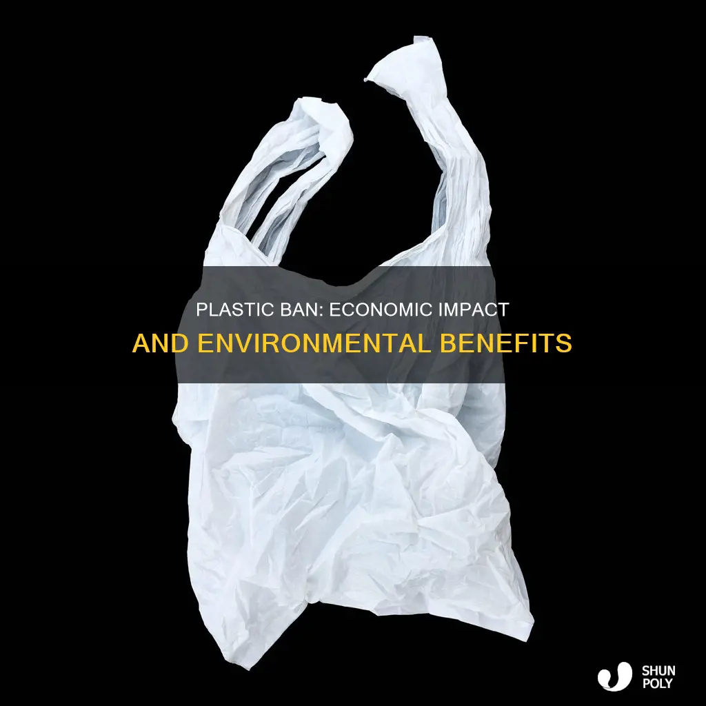 how would banning plastic affect the economy