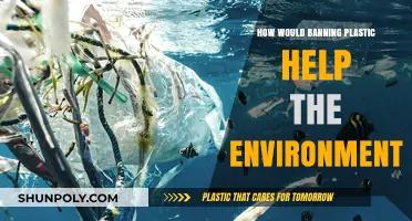 Plastic Ban: Saving Our Planet, One Step at a Time