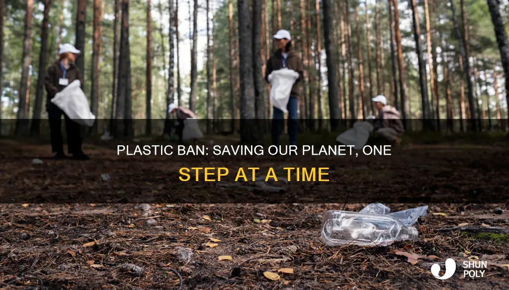 how would banning plastic help the environment