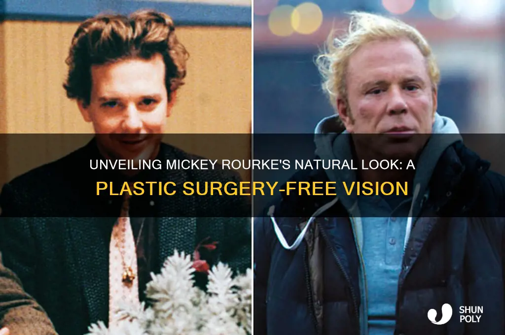 how would mickey rourke look without plastic surgery