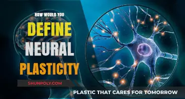 Understanding Neural Plasticity: Brain's Ability to Rewire Itself