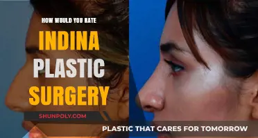 Indian Plastic Surgery: Expert Ratings and Patient Experiences Revealed