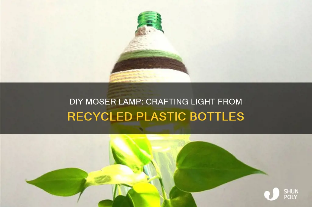 how you do the moser lamp with plastic bottle