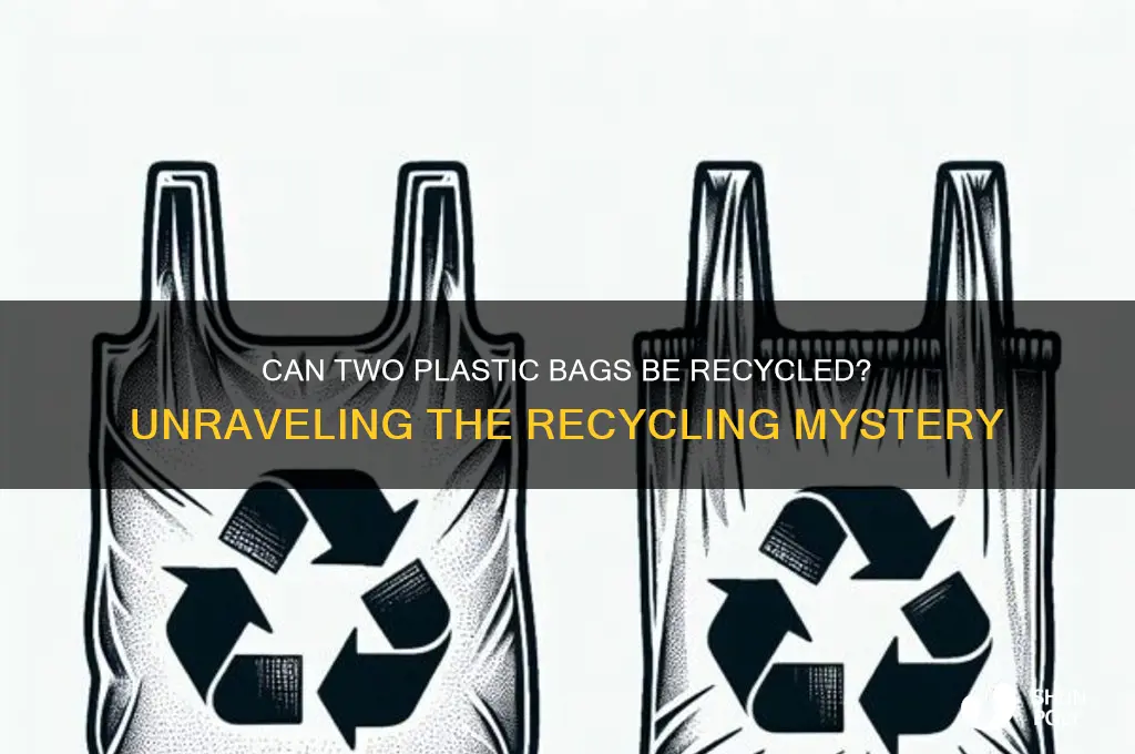 is 2 plastic bags recyclable