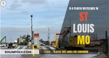 Recycling in St. Louis: Are Plastics No. 6 Accepted?