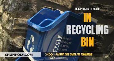 Recycling Bin Blues: Plastics Edition