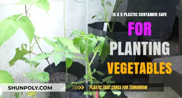Safe to Plant Vegetables in #5 Plastic Containers?