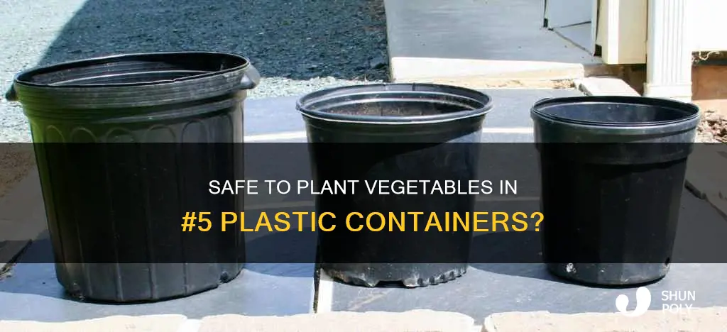 is a 5 plastic container safe for planting vegetables