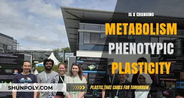 Metabolism and Phenotypic Plasticity: What's the Connection?