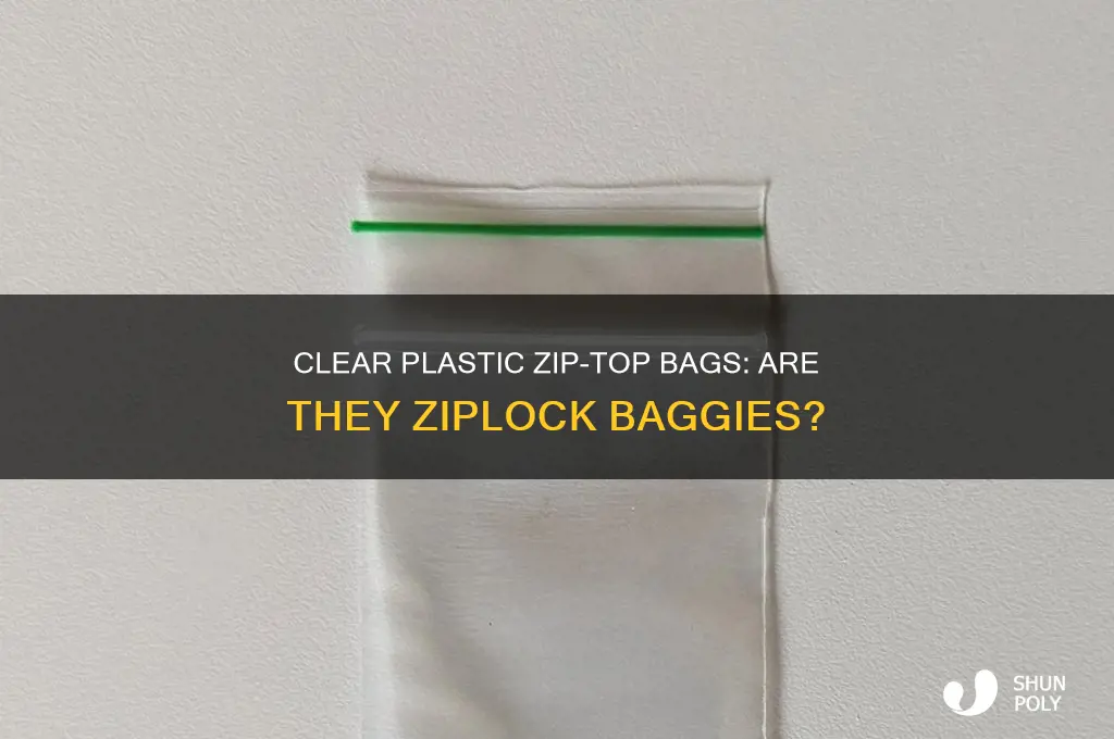 is a clear plastic zip-top bag ziplock baggie