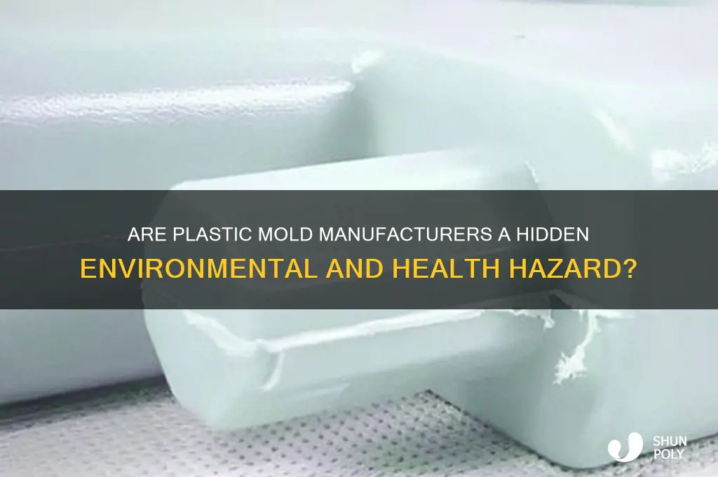 is a compay that make plastic mold a hazard