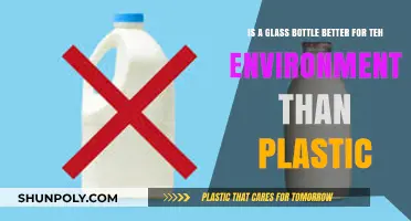 Glass vs. Plastic: Which Bottle is Greener for Our Planet?