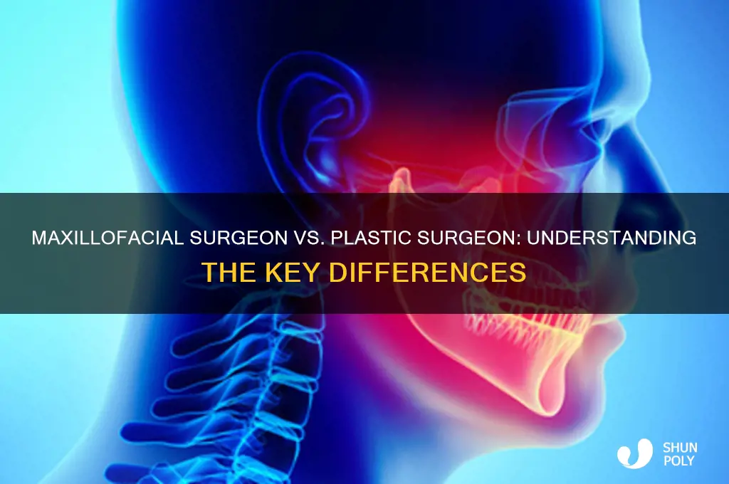 is a maxillofacial surgeon a plastic surgeon
