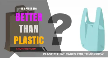 Paper vs. Plastic: Which Bag is the Eco-Friendly Choice?