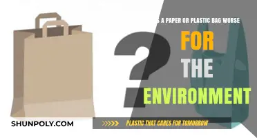Paper vs. Plastic: Which Bag is the Bigger Environmental Villain?