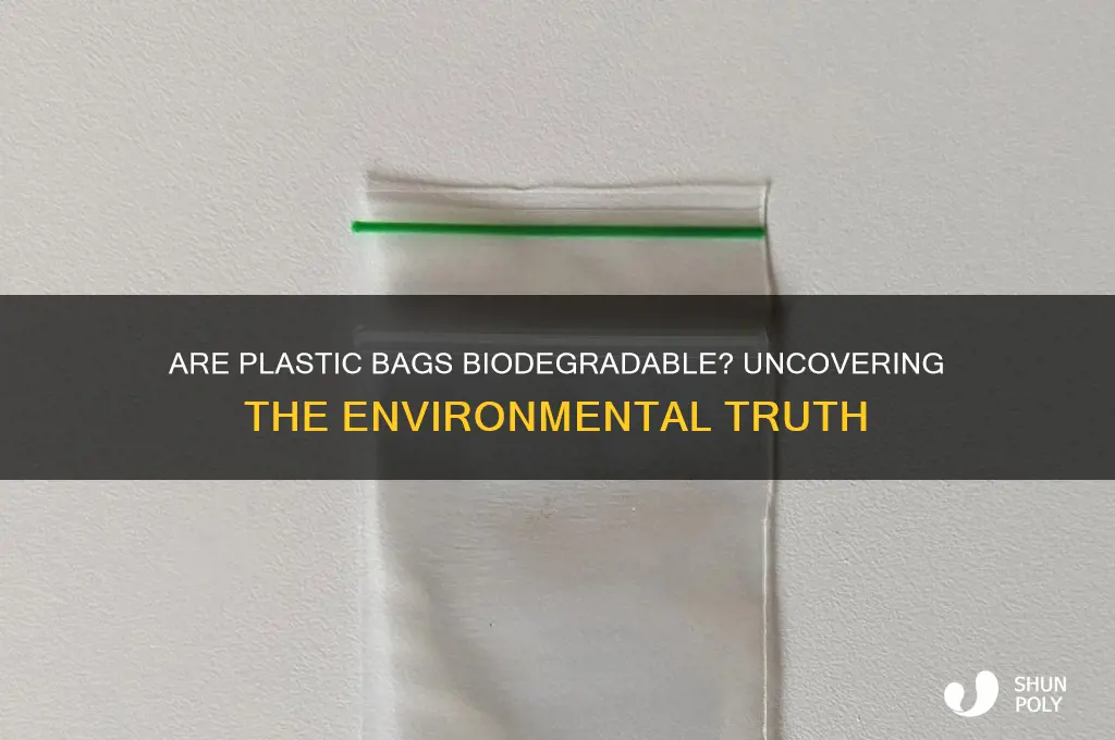 is a plastic bag biodegradable