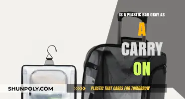 Can You Bring a Plastic Bag as a Carry-On? TSA Rules Explained