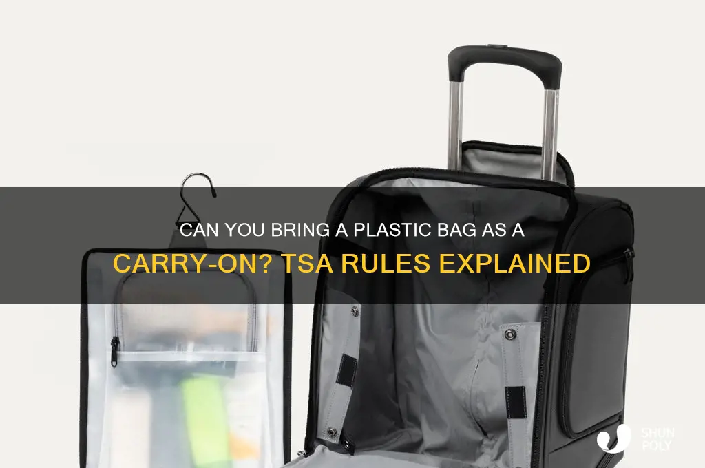 is a plastic bag okay as a carry on