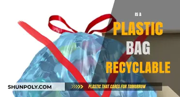 How Plastic Bags Can Be Recycled?
