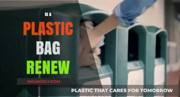 Can Plastic Bags Be Renewed? Exploring Recycling and Sustainability Solutions