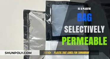 Plastic Bags: Understanding Their Selective Permeability and Material Science