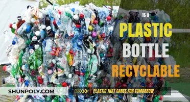 Can Plastic Bottles Be Recycled? Unraveling the Truth Behind Recycling