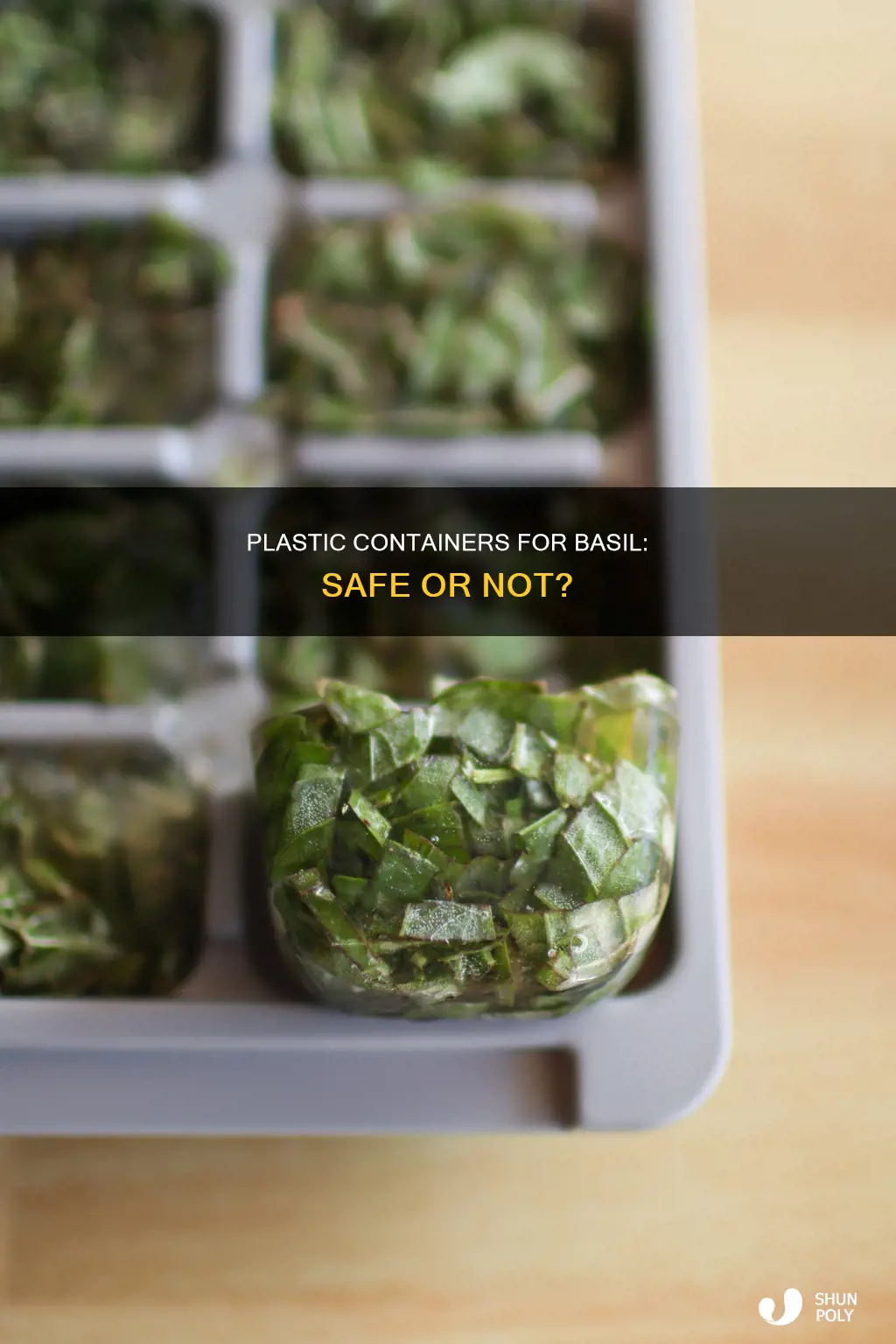 is a plastic container ok to grow basil