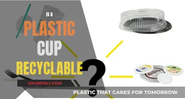 Plastic Cup's Recyclability: What's the Verdict?
