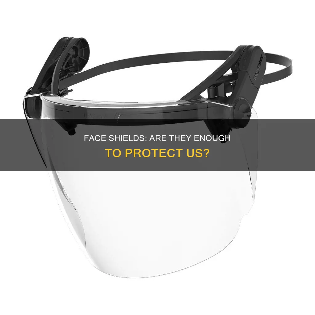 is a plastic face shield enough