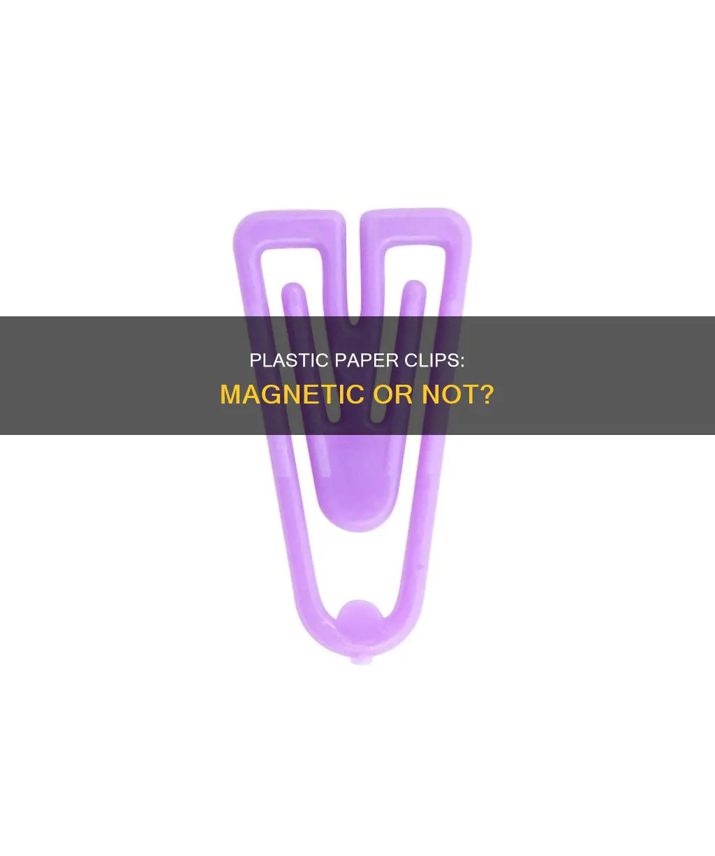 is a plastic paper clip megnetic
