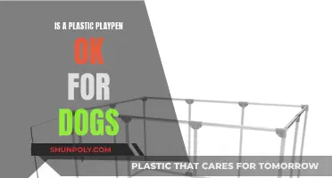 Plastic Playpens: Safe for Dogs?